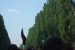 DSCF2374